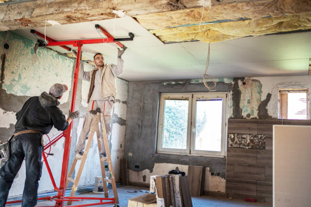 Best Insulation Installation Services in Boulevard Gardens, FL